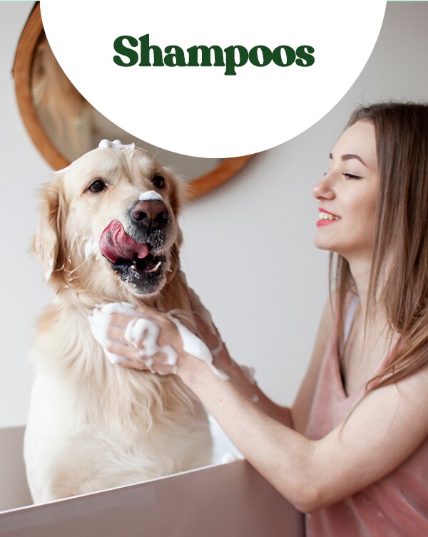 Shampoos